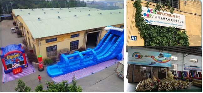 red palm tree pool water slide